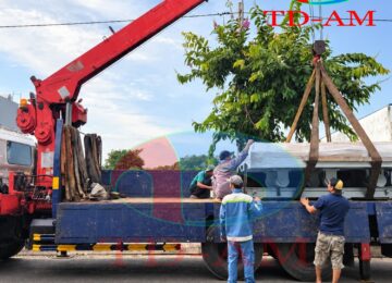 BÀN GIAO THÀNH CÔNG DỰ ÁN LÒ Ủ  TẠI VŨNG TÀU